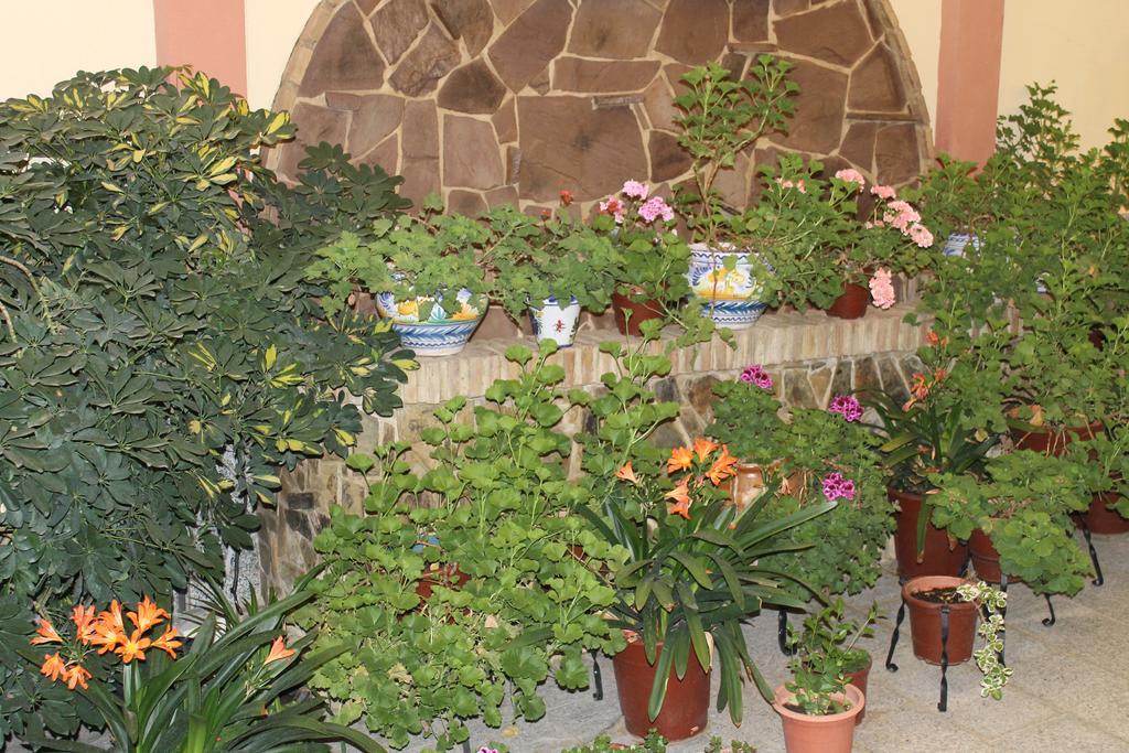 Maximiano Herculeo قرطبة المظهر الخارجي الصورة